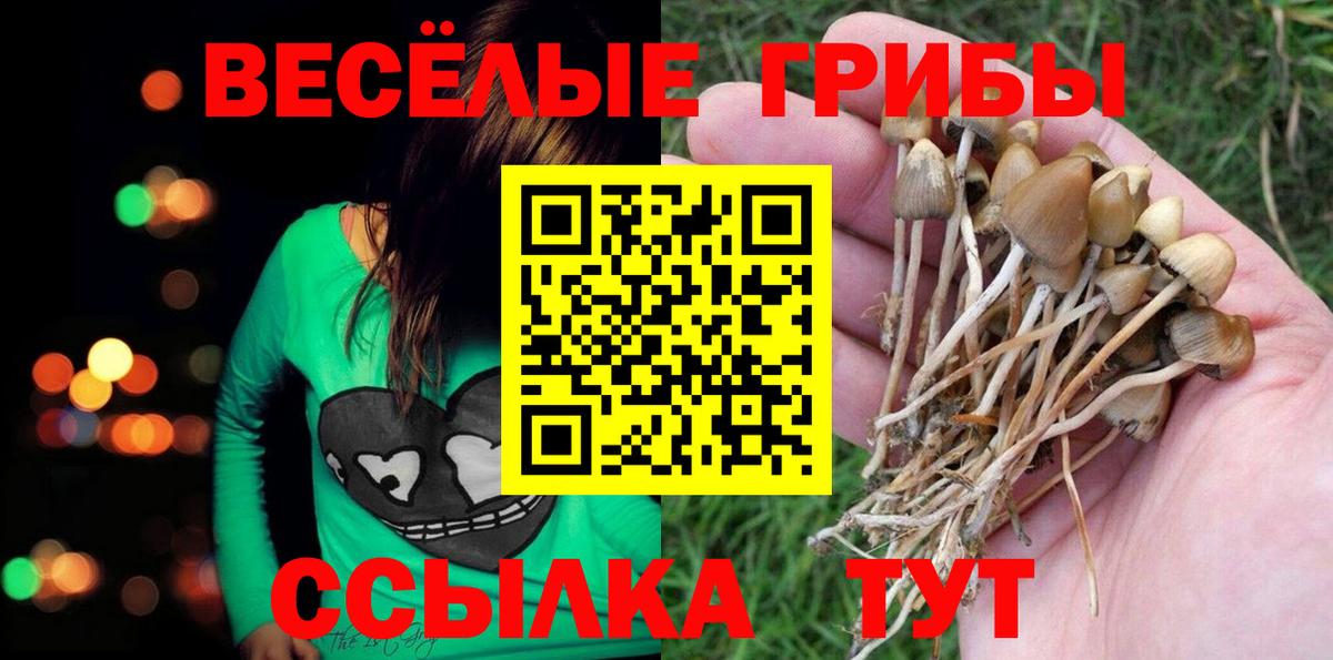 Псилоцибиновые грибы мухоморы Чистополь