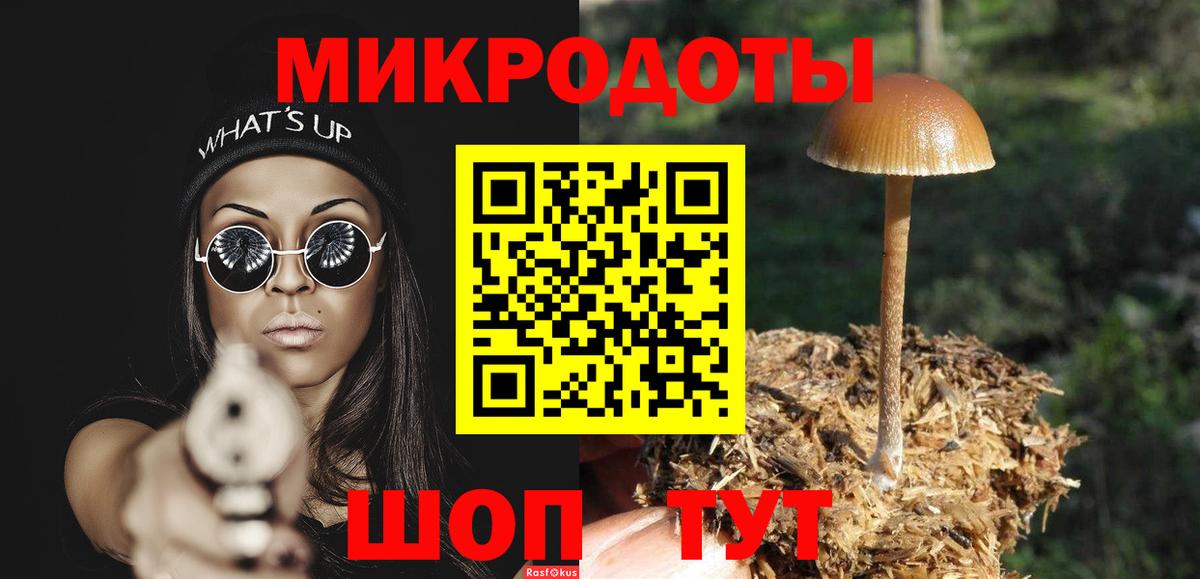Псилоцибиновые грибы мицелий  Вход с VPN  Чистополь 